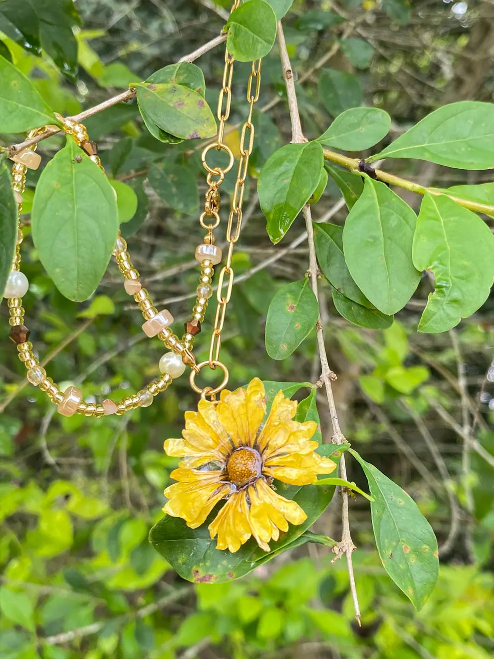Luz de Campo – Collar flor natural sellada en resina