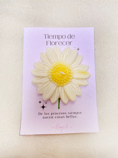 Tiempo de Florecer – Vela aromática floral tipo margarita en soya (artesanal)