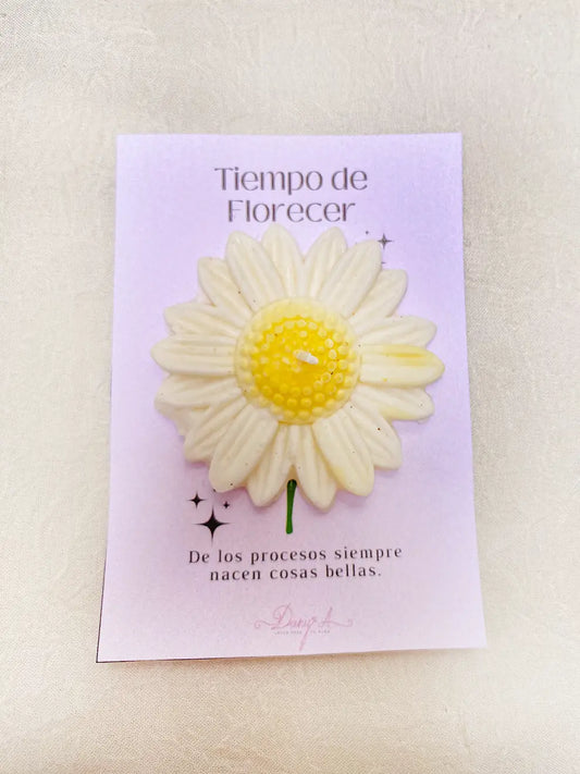Tiempo de Florecer – Vela aromática floral tipo margarita en soya (artesanal)